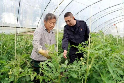 夏管关键期 北大荒劳模工匠的智慧与汗水