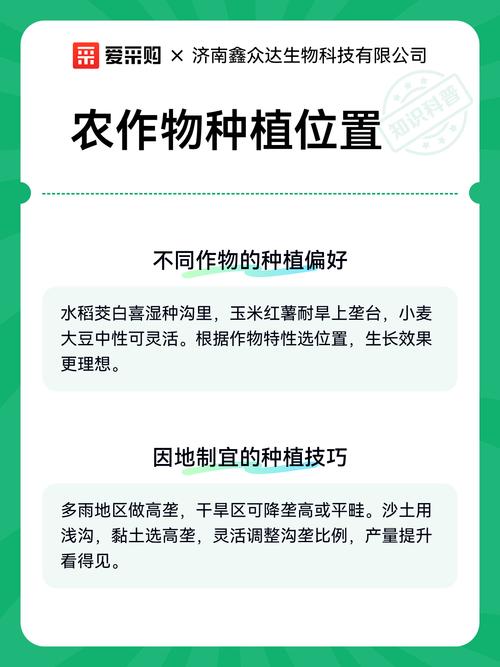 农作物种植位置的选择与规划 从自然条件到田间布局